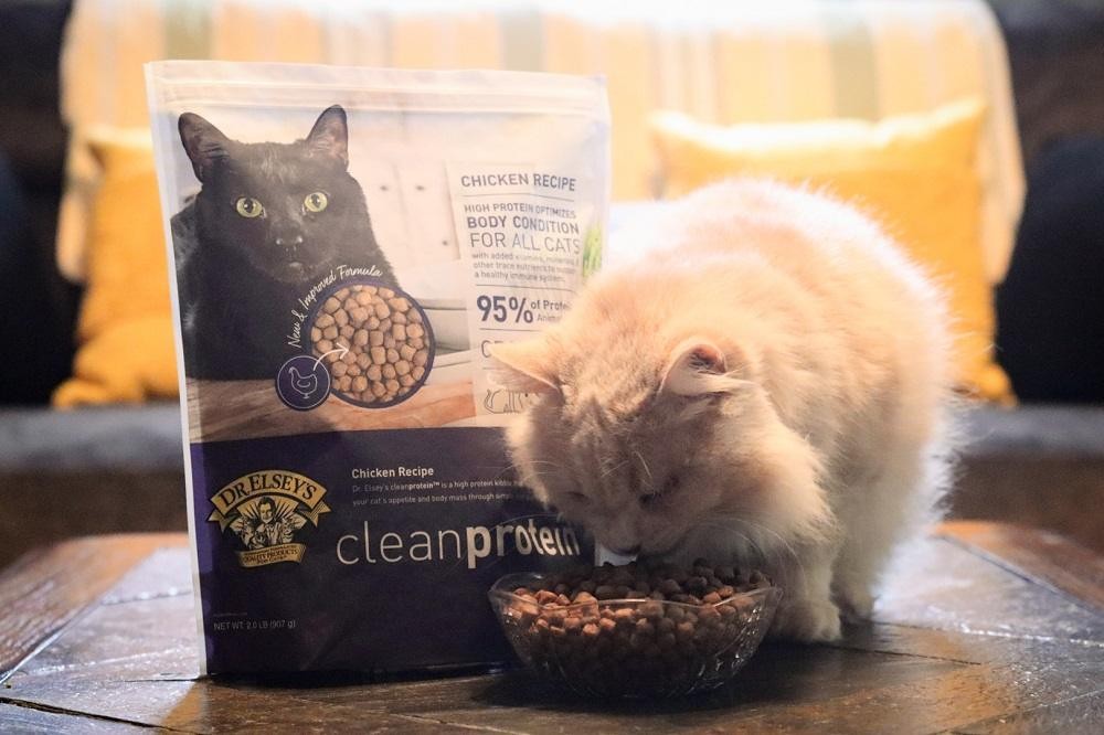Close-up of Dr. Elsey's Clean Protein Chicken Recipe Dry Cat Food kibble being poured into a bowl