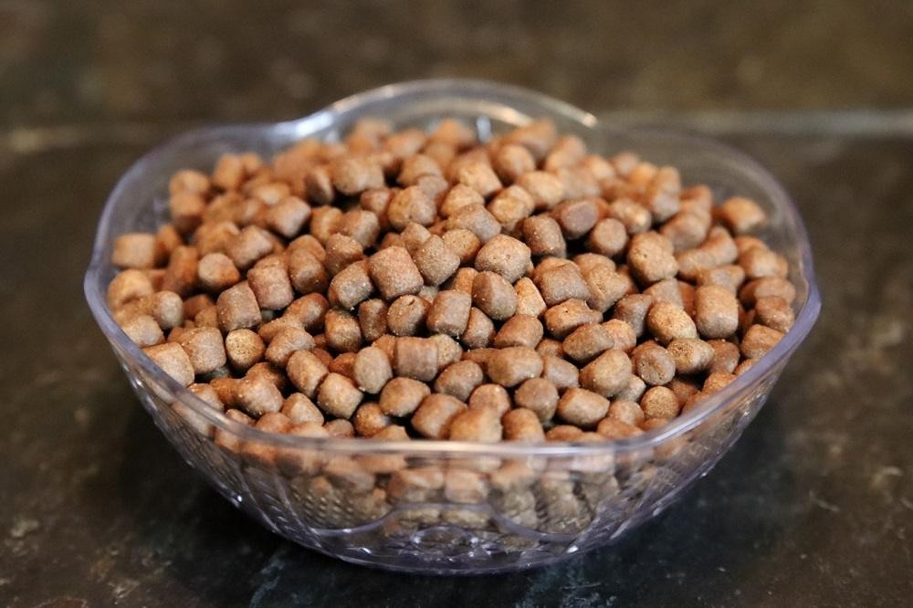 Close-up of Dr. Elsey's Clean Protein Chicken Recipe Dry Cat Food kibble in a bowl