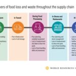 Drivers of food loss and waste throughout the supply chain, including inadequate technology and consumer behaviors