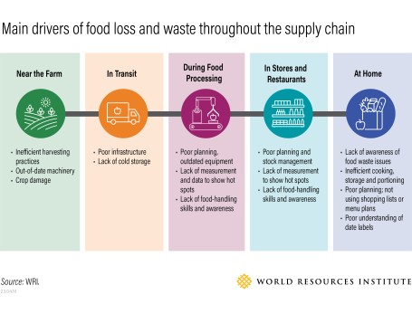 Drivers of food loss and waste throughout the supply chain, including inadequate technology and consumer behaviors
