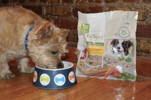 Freshpet Select Chicken Recipe