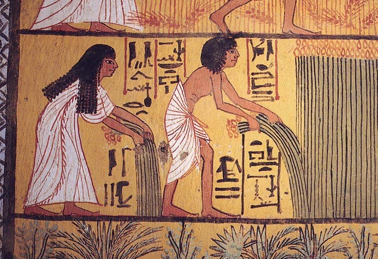 Ancient Egyptian harvest scene