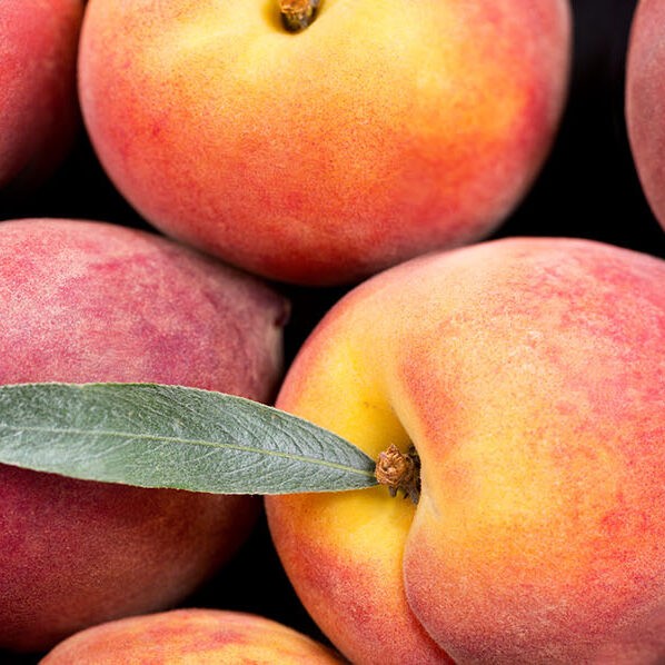 Brigham City is an iconic way to enjoy the peaches, making it a favorite of The Beehive State.