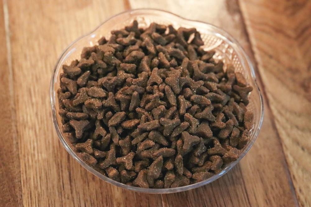 Close-up of FirstMate Chicken Meal With Blueberries Formula Dry Cat Food in a bowl
