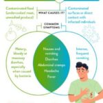 Norovirus vs Food Poisoning Causes