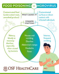 Norovirus vs Food Poisoning Causes