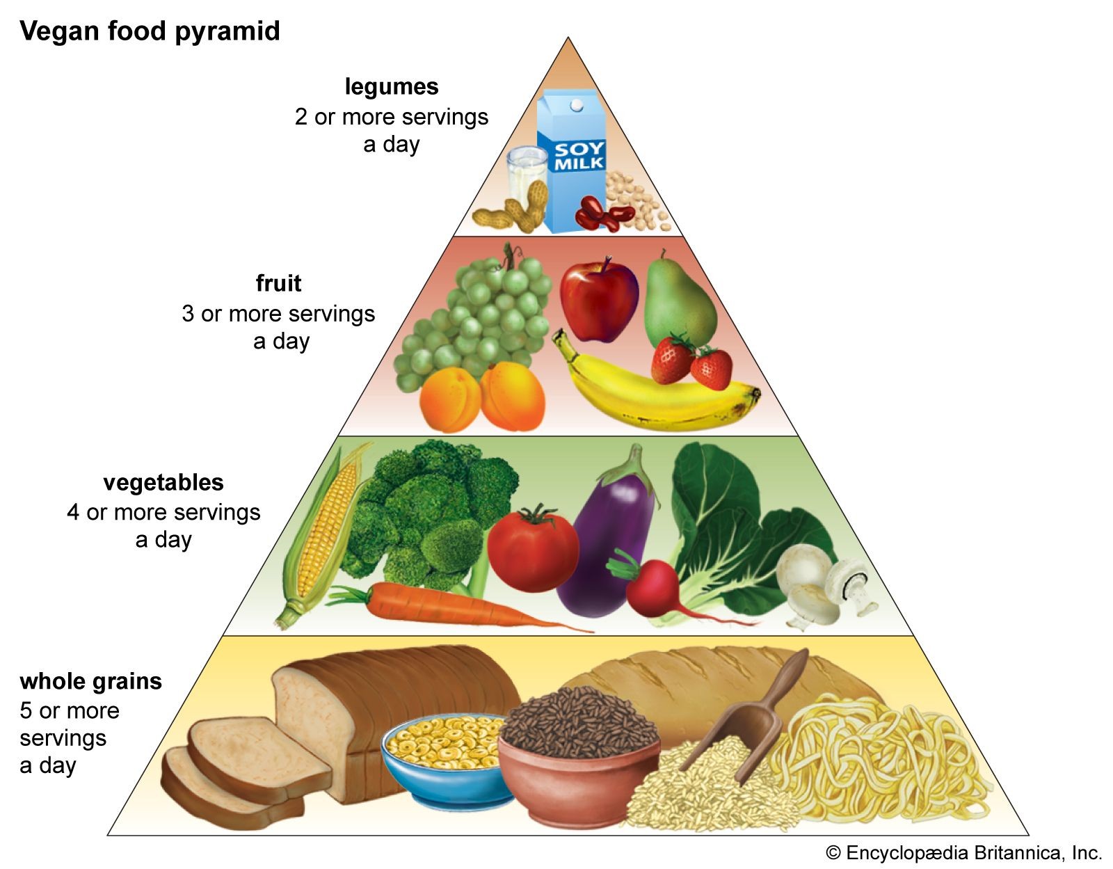 Vegan food pyramid displaying fruits, vegetables, grains, and plant-based protein sources