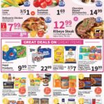 Food City Ad Meat Section