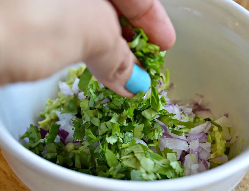 Avocado, cilantro, onion, and jalapeno, fresh ingredients for homemade guacamole