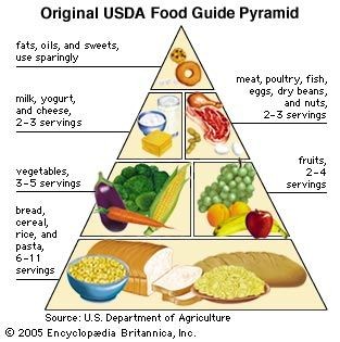 Original USDA Food Guide Pyramid, emphasizing grains and minimizing fats.