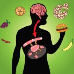 Human body digests food