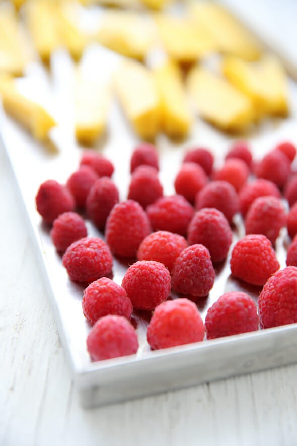 Metal trays of food inside freeze dryer
