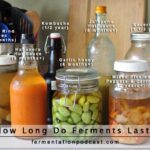 Fermented foods in the fridge