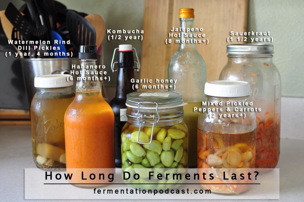 Fermented foods in the fridge