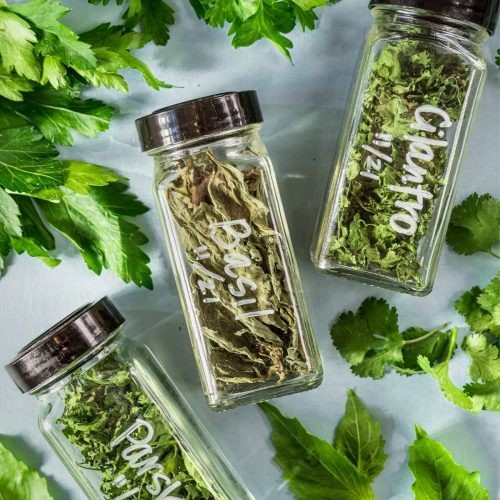 Assortment of dried herbs in glass jars, including basil, oregano, and thyme, showcasing the preservation of flavors and aromas through dehydration.