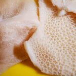 Honeycomb Tripe close-up