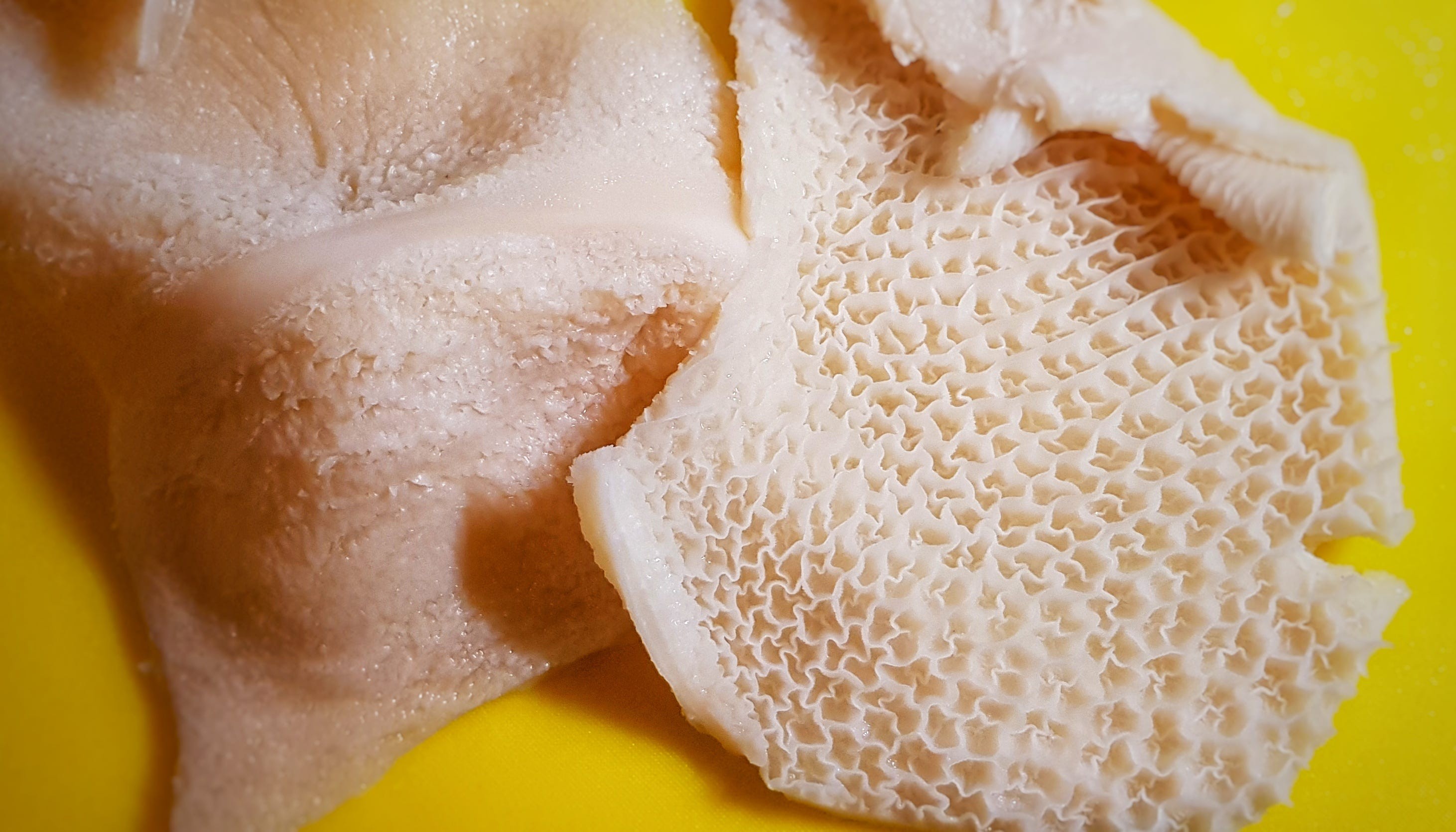 Honeycomb Tripe close-up