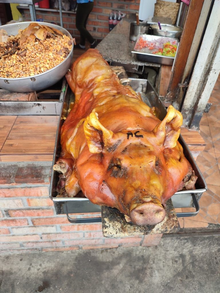 Stuffed Hornado (roasted pig) on Ecuadorian highlands