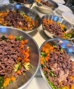 Variety of prepared dog food ingredients including venison