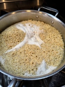 Quinoa superfood for dog food