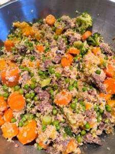 Well mixed homemade dog food