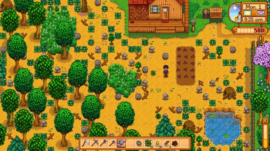 Planted Parsnips for Farming