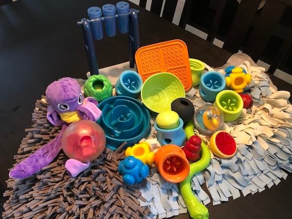 Collection of interactive dog feeders for varied enrichment
