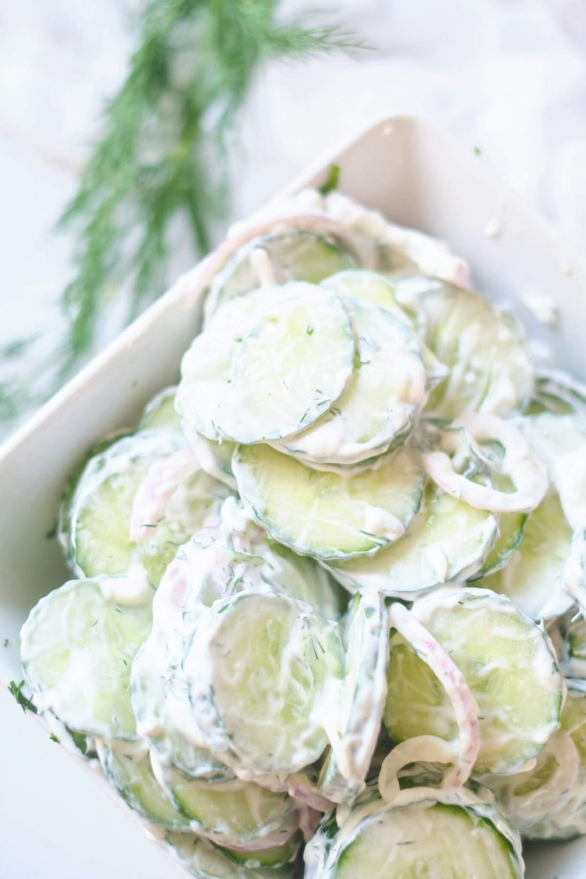 A refreshing cucumber salad, contrasting with the richness of jambalaya