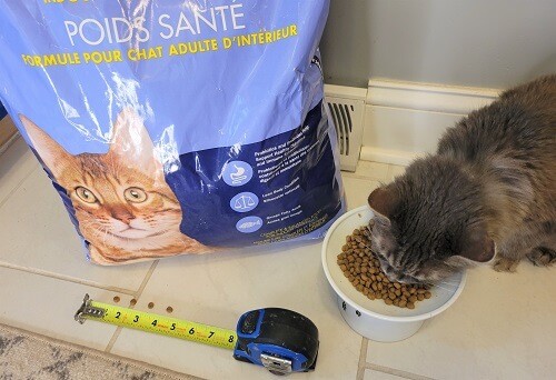 Kirkland Signature Healthy Weight Indoor Adult Cat Formula