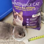 Kirkland Maintenance Cat Chicken and Rice Formula