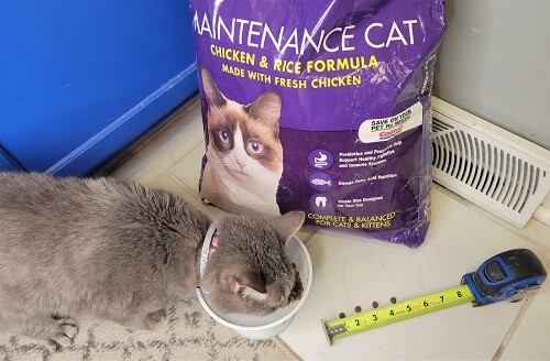 Kirkland Maintenance Cat Chicken and Rice Formula