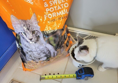 Kirkland Signature Nature’s Domain Salmon Meal & Sweet Potato Recipe