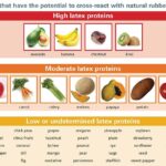 A chart categorizes foods by potential to cross-react with natural rubber latex: high latex proteins (avocado, banana, chestnut, kiwi), moderate latex proteins (apple, carrot, celery, melon), and low or undetermined latex proteins (grapes, peach, soybean, etc.).