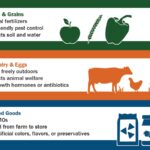 Organic Produce and Grains: Natural Fertilizers, Eco-friendly pest control, Protects soil and water; Meat, Dairy and Eggs: Roam freely outdoors, Protects animal welfare, no growth hormones or antibiotics; Packaged Goods: No GMOs, Traced from farm to store, No artificial colors, flavors, or preservatives