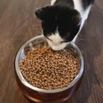 Nulo Freestyle Cat & Kitten Turkey & Duck Kibble Dry Food