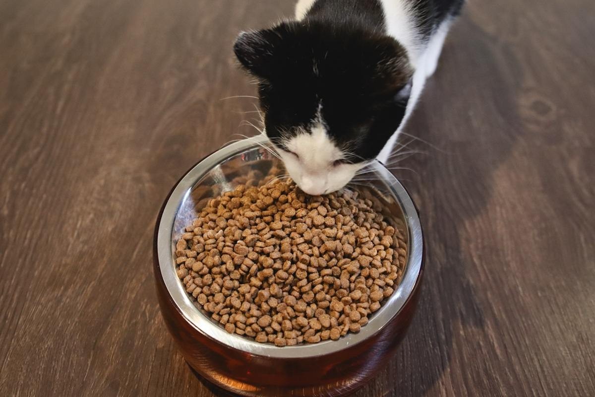 Nulo Freestyle Cat & Kitten Turkey & Duck Kibble Dry Food
