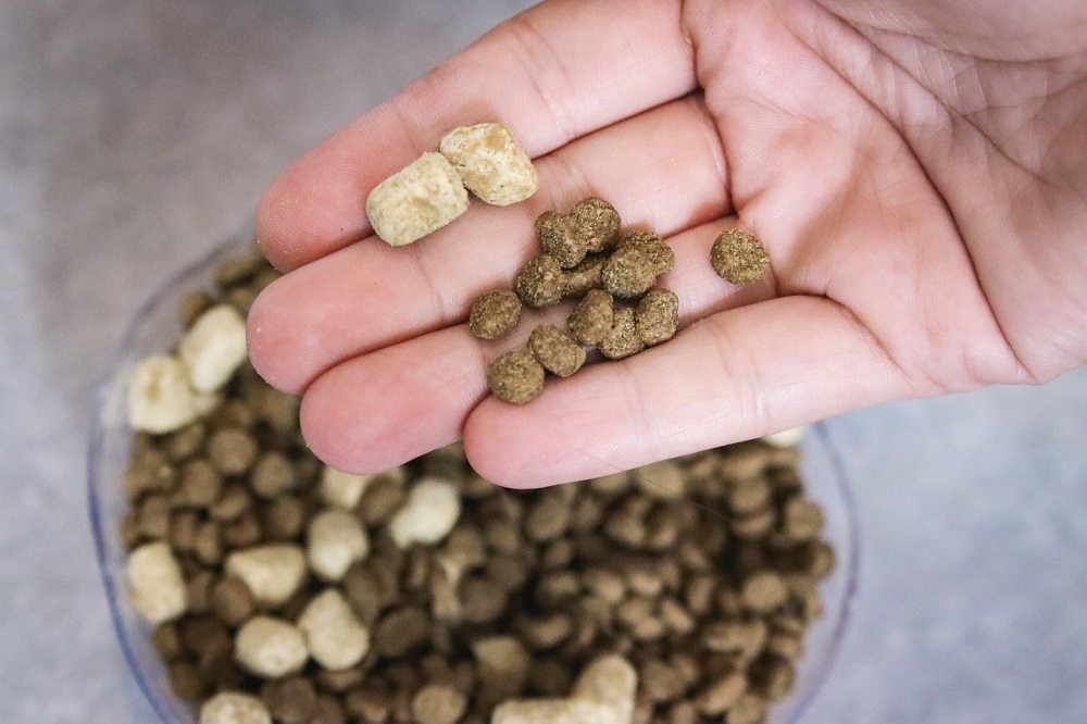 Close-up of Open Farm RawMix Open Prairie Recipe kibble in a bowl