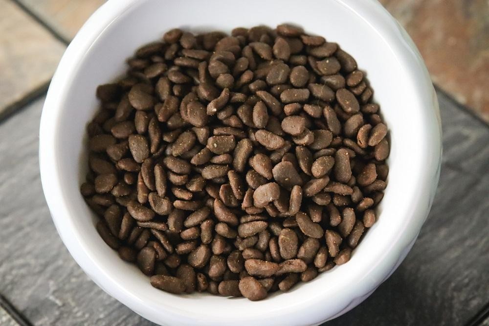 Close-up of Orijen Six Fish Recipe Dry Cat Food kibble in a bowl