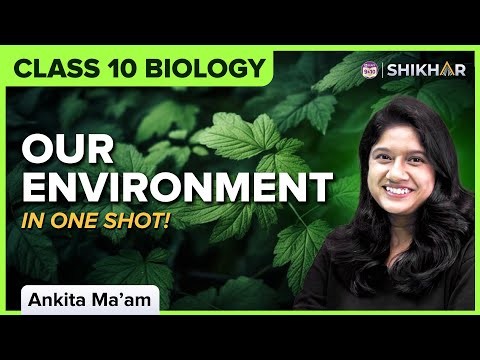 Invasive species impacting the food chain