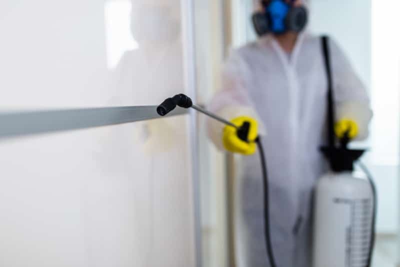 Pest control professional inspecting a kitchen.