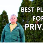 Plant Food and Soil Health