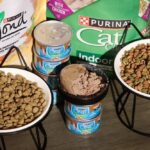 Purina Cat Food Review
