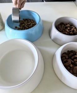 High quality kibble for dog meal