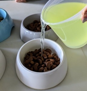 Whey added to dog food