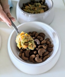 Homemade dog food added to bowl