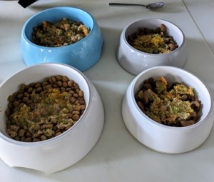 Everything mixed into dog bowls