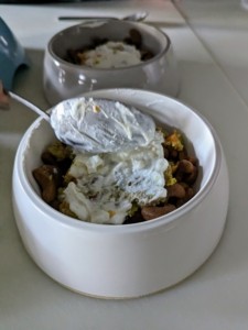 Homemade yogurt as supplement for dog food