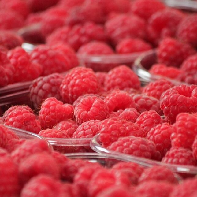 Raspberries are iconic from Bear Lake, and Raspberry Days is not to be missed, making it a favorite of The Beehive State.