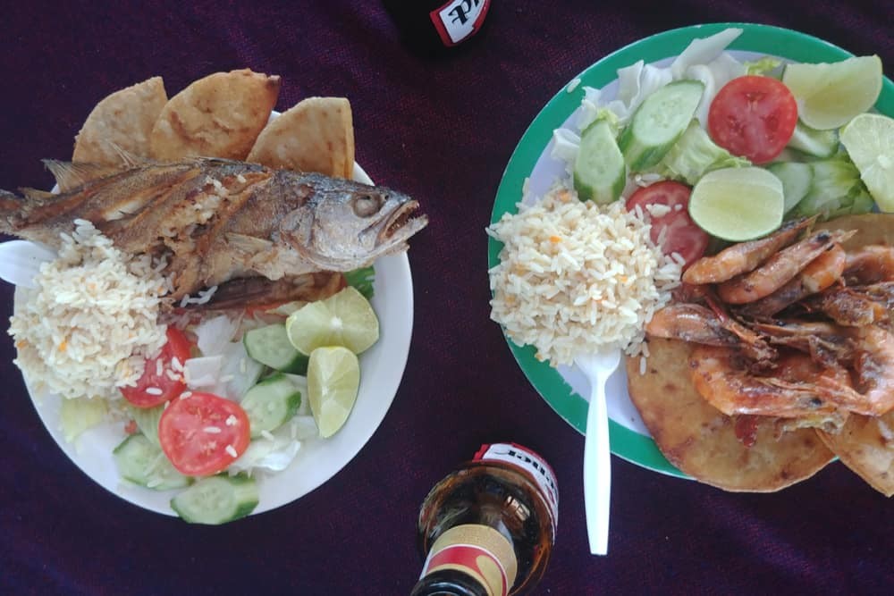 Two plates with fish, rice, and vegetables