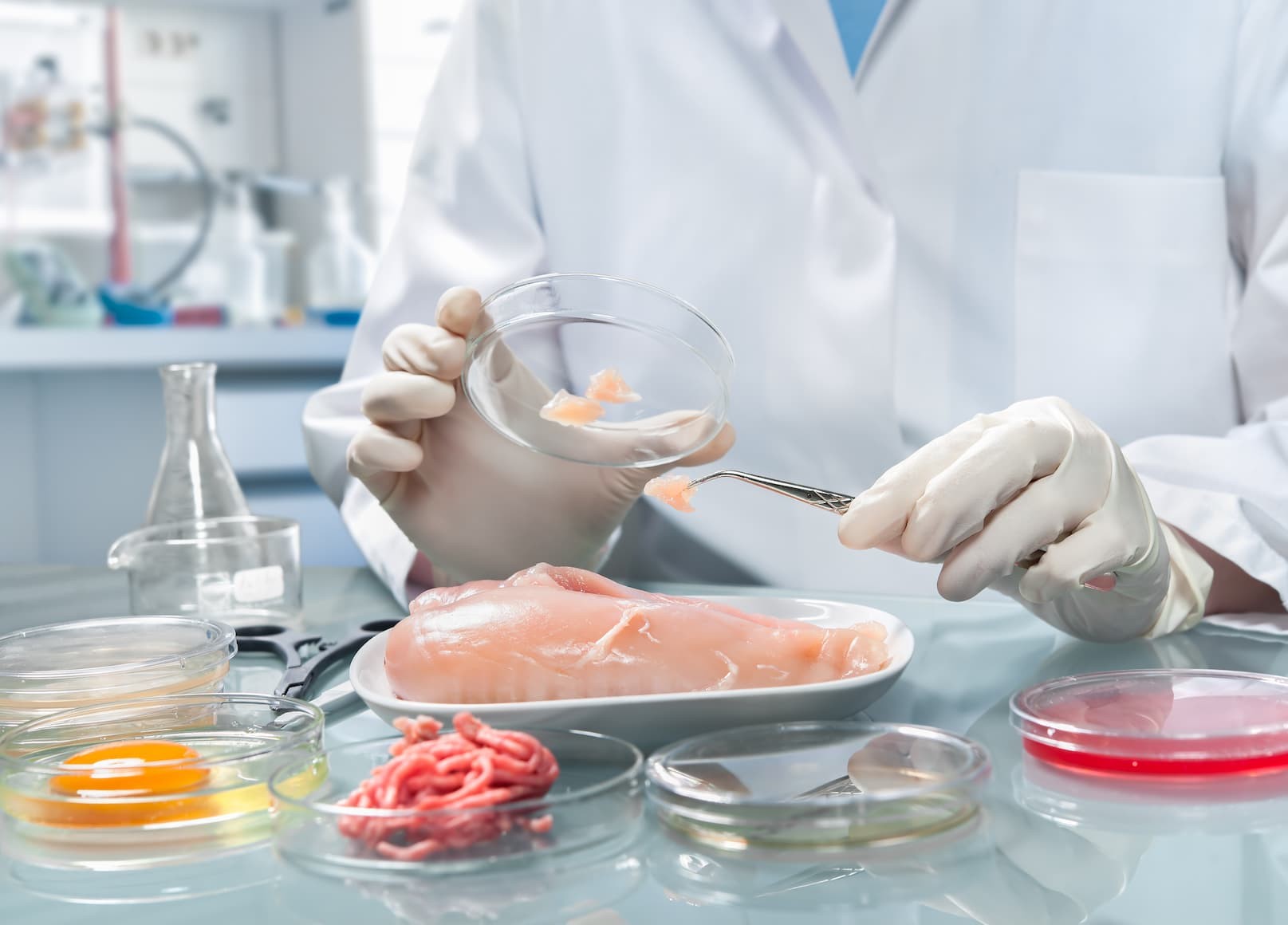 science of food safety